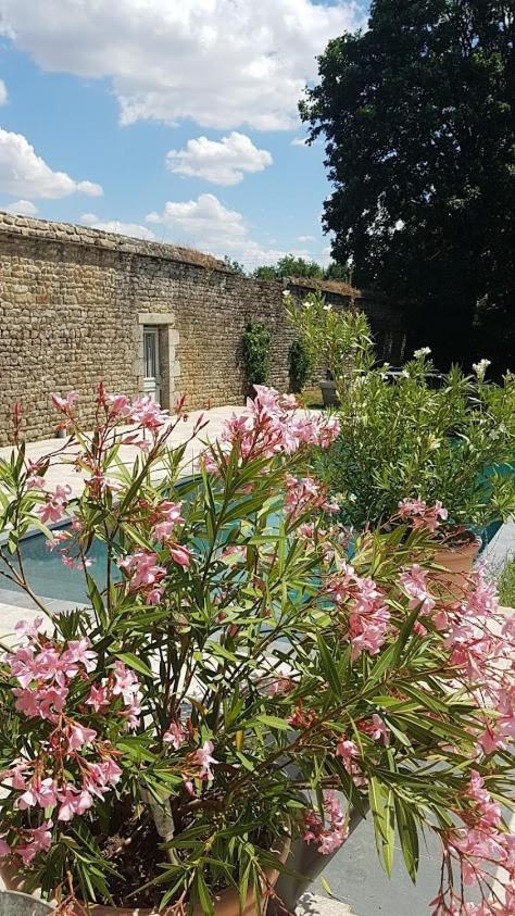 L'Annexe Du Plessis Bochard Casa de hóspedes Saint-Pierre-des-Nids Exterior foto